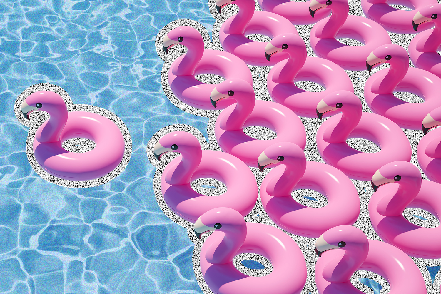 Image of flamingo floaties in a pool